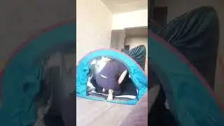 Разобрать и собрать палатку Quechua 2 seconds (2х местная) за 3 минуты