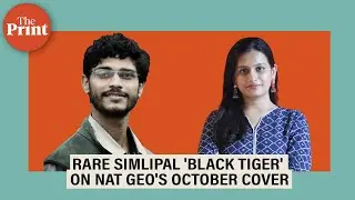 Rare 'black tiger' from Odisha's Simlipal forests on Nat Geo cover&mdash;the tale of the perfect shot