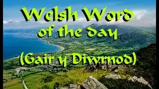 Welsh Word of the Day:  Dde -  Right