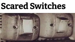 Seeing Faces In Things