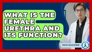 What Is The Female Urethra And Its Function? - Prostate Health Network