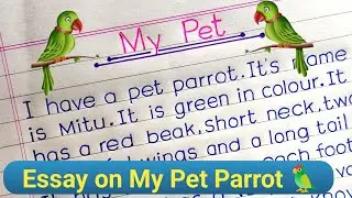 Essay on My Pet Parrot in English || My Pet essay in English ||