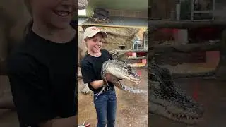 Brooke Carter Feeds Davey The Gator!! 🤣🐊