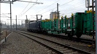 MRCE Taurus mit Holzwagen Ganzzug