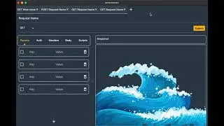 Dune: clone of postman, built with flutter