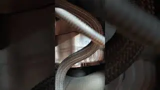 M3 S55 cold start ticking noise