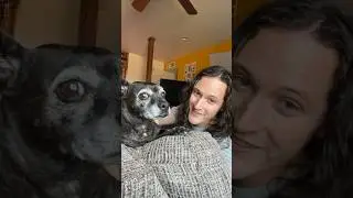 What Type of Animal Person are You Personality Test 🐍🐶🐈 #pets