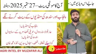 Today Paddy Rate | 27 September 2025 | Punjab & Sindh Mandis Fresh Update | آج کا تازہ مونجی ریٹ