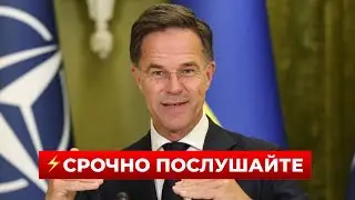 ⚡️В ЭТИ МИНУТЫ! Рютте сделал громкое заявление о Путине и войне — КРЕМЛЬ В АУТЕ | Новини.LIVE