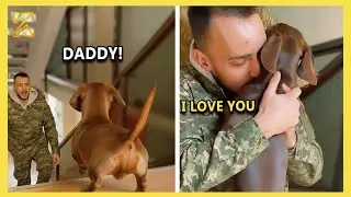 🐶 The Sweetest and Most Heartwarming Animals Reunion with Their Owners 😍 Heartwarming moments!