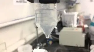 Ch En 1705 Alginate Bead Project