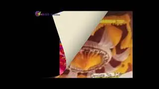 ☁️ Readymade Ceiling Fabric for Mandap & Event D&eacute;cor | Amar Textile 9924799905 CALL NOW