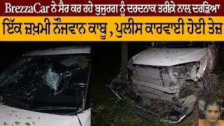 Brezza Car painfully hits elderly man walking, injured youth arrested