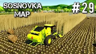 Farming Simulator 25 Карта Сосновка Таймлапс Эпизод #29 Мегаферма fs25 геймплей