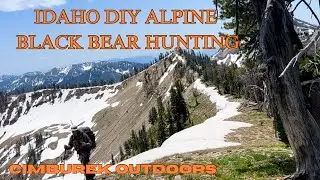 Idaho DIY Alpine Black Bear Hunting