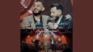 Aoleu aoleu (Live)