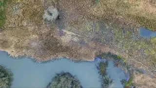 Fleet Pond - Top Down