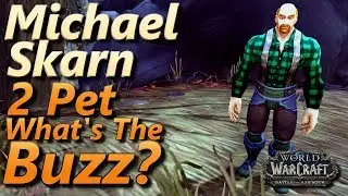 Michael Skarn WoW 2 Pet Leveling Strategy Pet Battle World Quest What's The Buzz
