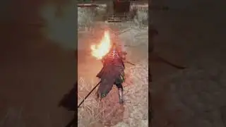 So satisfying. #eldenring #gaming #pvp #kombos #soulsgame #mortalgaming .
