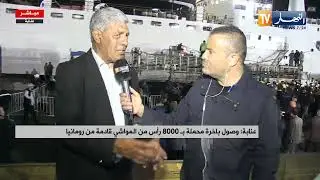 ميناء عنابة: بداية تفريغ الباخرة التي تحمل 8000 رأس غنم مستوردة من رومانيا