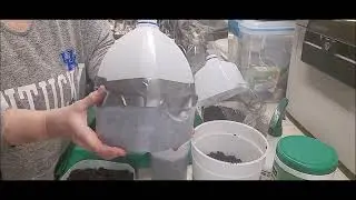Winter Sowing - How To - Cathy's Eclectic Garden