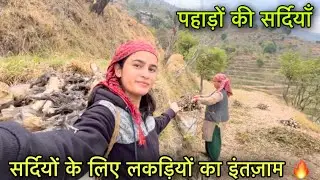 सर्दियों के लिए लकड़ियों का इंतज़ाम कर दिया 🔥 || Pahadi lifestyle Vlog || Girl from North