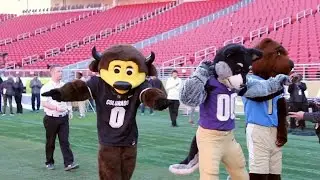 Pac-12 mascots gather for some dancing and fun before FCG