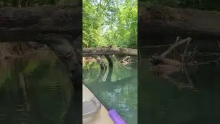 Canoeing in North Chickamauga Creek
