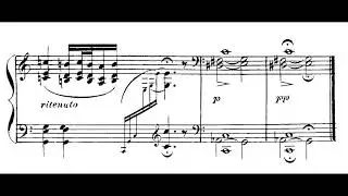 Liszt S.560- 14 Lieder von Franz Schubert (Schwanengesang) Piano transcriptions-SCORE