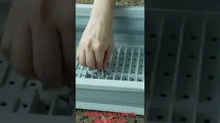 Collapsible Dish Drainer