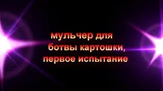 мульчер для ботвы картошки,    испытание ,Potato topper