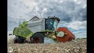 Dreschen 2018 // Claas Tucano 480 // LU: Daue und Partner