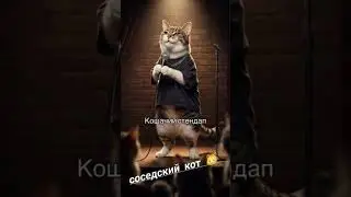 котик на стендапе🐱😁