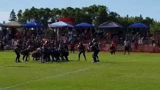 Turlock Rookie Bulldogs!