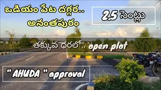 Low budget plot in anantapur | odium peta | plots in odium peta | plots in venture | ahuda ventures