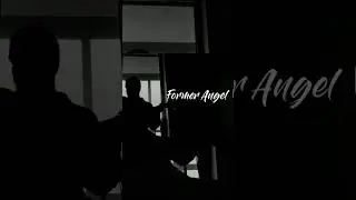 Meet The Aurora - Swimming in the Stars