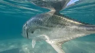 BAJA SURF FISHING MAGIC | PUNTA ARENA