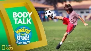 Body Talk | Weird But True!&mdash;Fast Facts