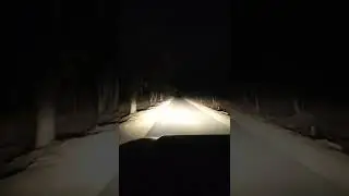 New Thar Jungle Night Safari