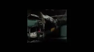 Weirdo short ngl  #funnyimages #gakeee #funny #funnymemes #paintball #vipairsoft