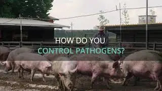 Pathogen Control