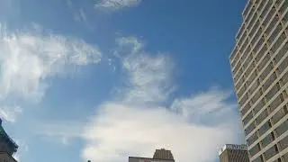 PLETHORA OF SKYCREATURES 1-16-26