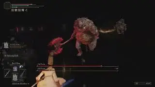 Elden Ring - Mage Vs  Fell Twin Duo