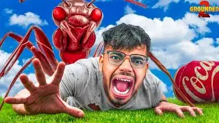 Stealing A Ant Egg Was My Biggest Mistake - Grounded 2 - Part 3