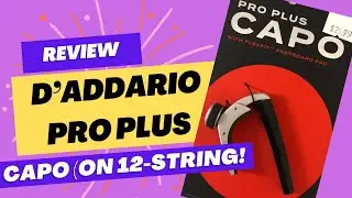 Review: D&rsquo;Addario Pro Plus with Flexible Fingerboard Pad for 12-String Use