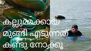 mussels hunting | Haris fish world