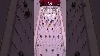 2026 ♑Capricornやぎ座 Marble Horoscope by Zodiac Sign #marblerun #zodiacsigns #fortunetelling