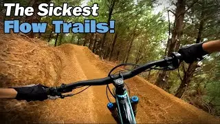 This Bike Park has the Sickest Flow Trails! // Whangamata MTB Park