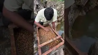River Rock Hole Gem Mining &ndash; Digging Deep for Rare Gemstones | Amazing Finds