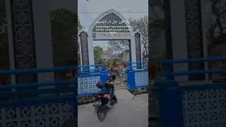 tdhn (2)